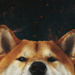 Here Is When Shiba Inu Burn Portal Rewards Might Be Shared: Details