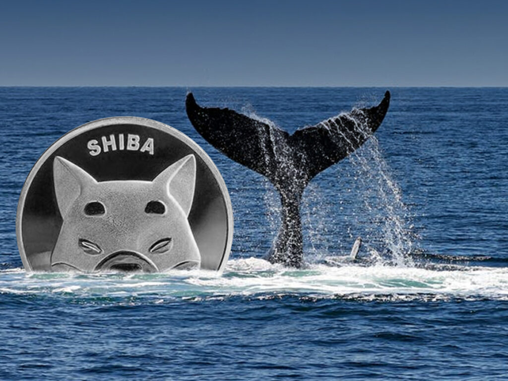 356 Billion SHIB Bought by This Whale as Token Rises 6% Among Crypto Massacre