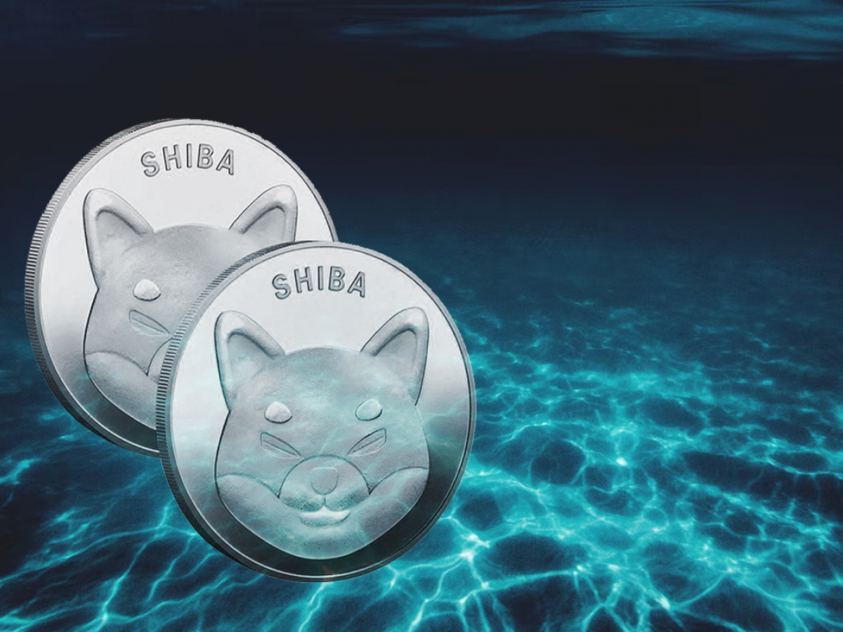 81% of Shiba Inu Investors Are Underwater, But Long-Term Holders Increase