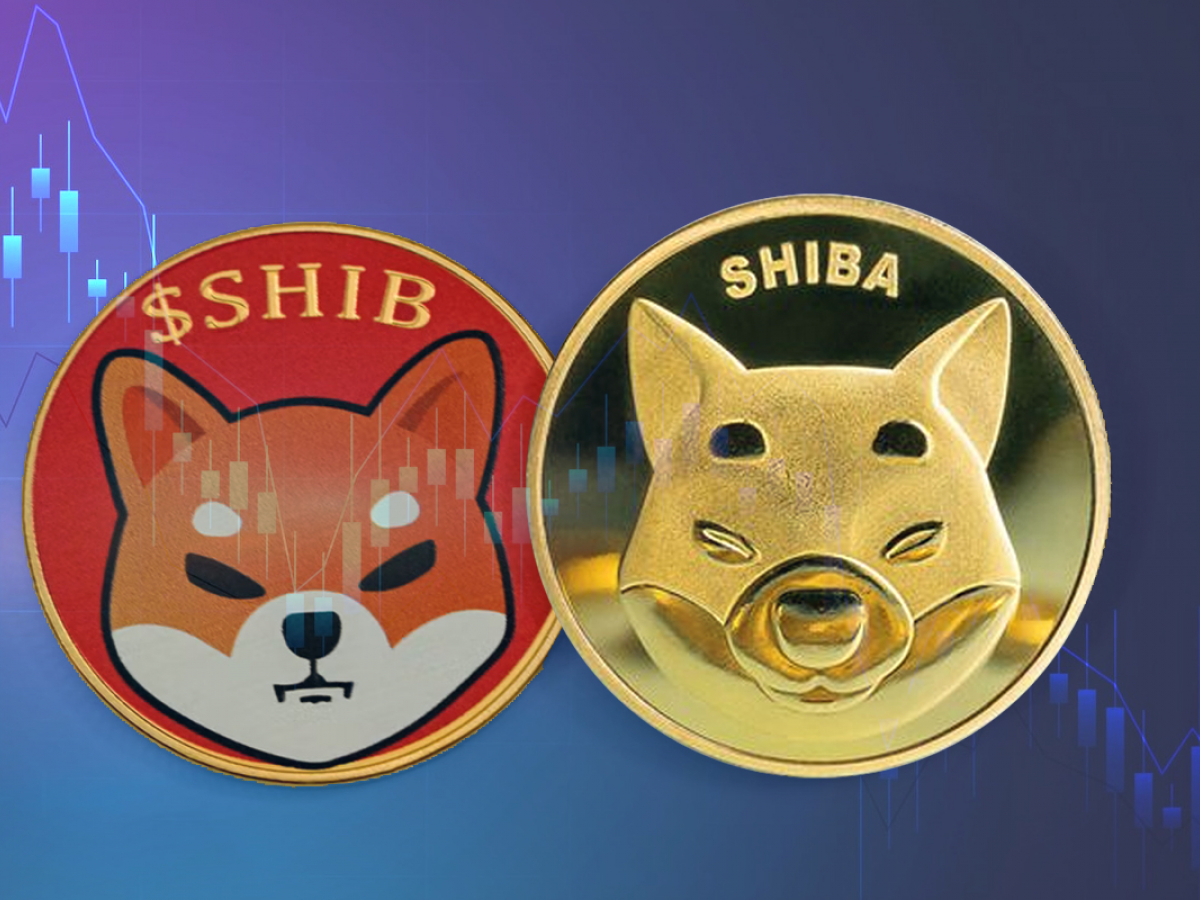 Shiba Inu Price Drops to Ten-Month Lows, Indicating This Historical Trend