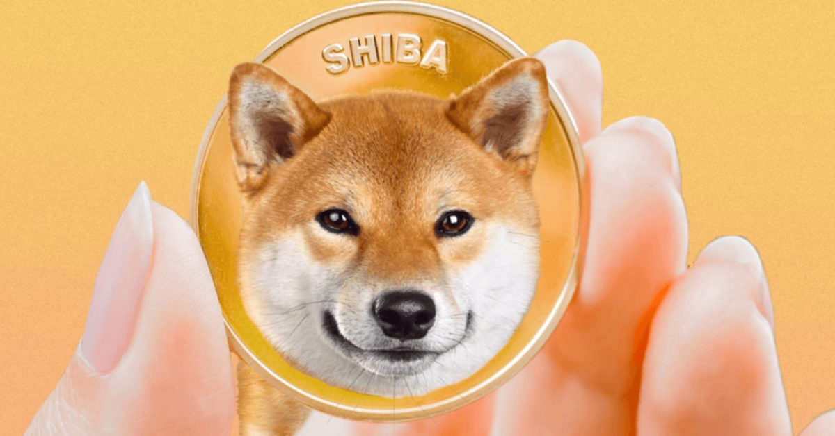 Whales Are Increasing Their Activity By Accumulating Shiba Inu (SHIB) And Gnox Token (GNOX)