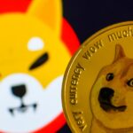 Shiba Inu and Dogecoin post biggest gains in crypto rebound as Bitcoin and Ether steady