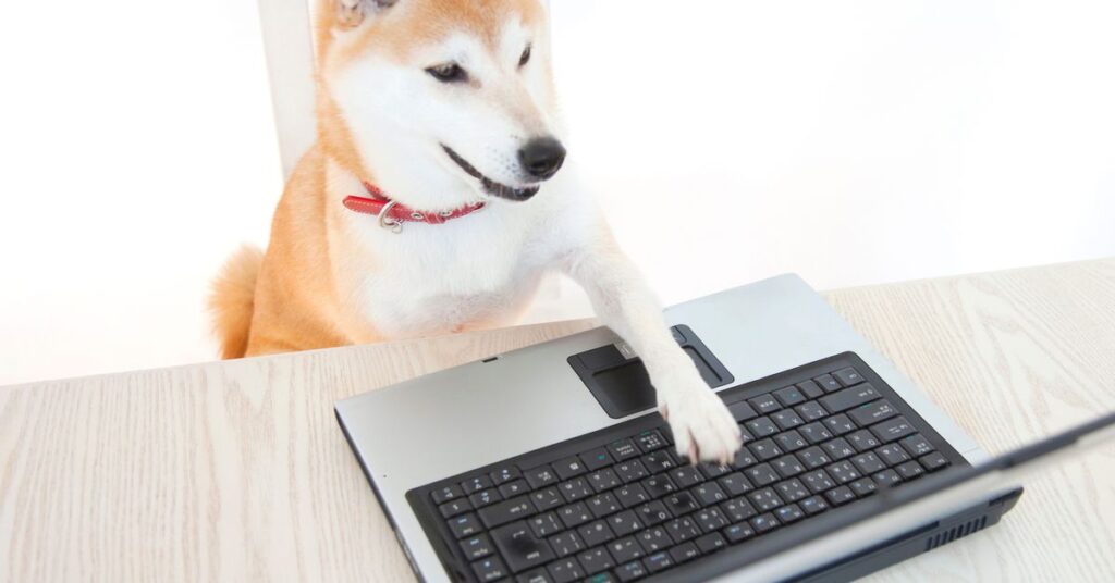 Shiba Inu’s SHIB Jumps Amid Speculative Frenzy, BONE Proposal