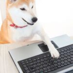 Shiba Inu’s SHIB Jumps Amid Speculative Frenzy, BONE Proposal