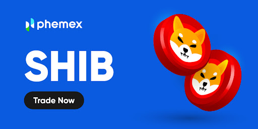 What Future Does SHIB Coin Hold