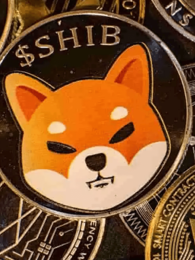 Shiba Inu (SHIB) Enters Top 6 Most Profitable Assets List – Clout News