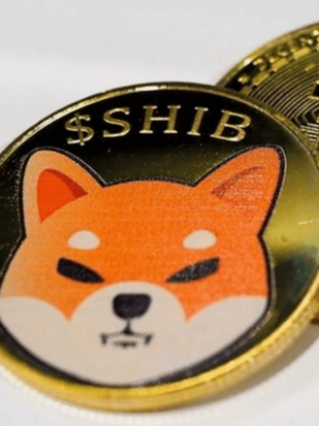 Shiba Inu and Dogecoin up 30% in Network Activity – Clout News