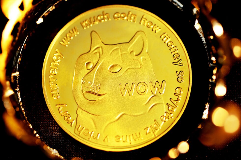 Dogecoin Down 16%, Shiba Inu 12% As Crypto Market Burns