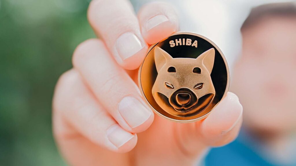 Shiba Inu Price Predictions: Can Meme Crypto SHIB Survive a Bear Market?