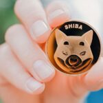 Shiba Inu Price Predictions: Can Meme Crypto SHIB Survive a Bear Market?