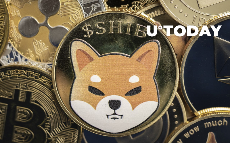 Robinhood Introduces New Feature for Shiba Inu and Other Coins