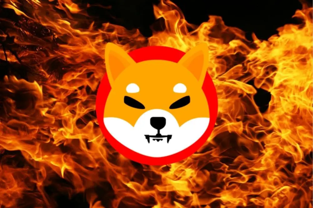 SHIB Burn: More Than 1.2 Billion Shiba Inu Tokens Burnt In One Week; BONE Minting Rate Declines