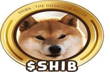 Ethereum Whales Set their Sight on Shiba Inu