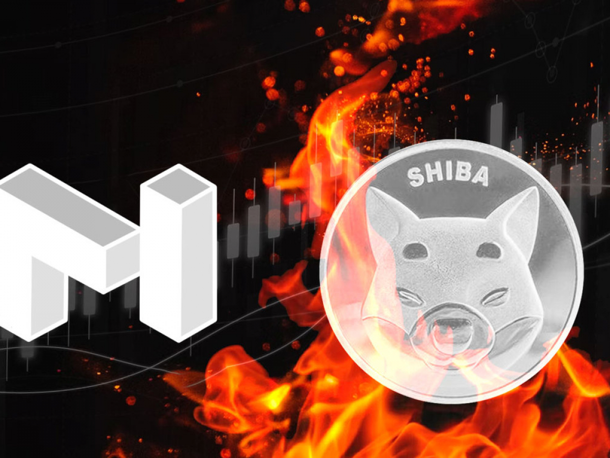 Shiba Inu Burned Coins Exceed Market Cap of MATIC with $4 Billion Worth of Tokens Destroyed