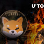 Shiba Inu Lead Dev States Requirements for Massive SHIB Burns; Over 1 Billion SHIB Burned in 7 Days