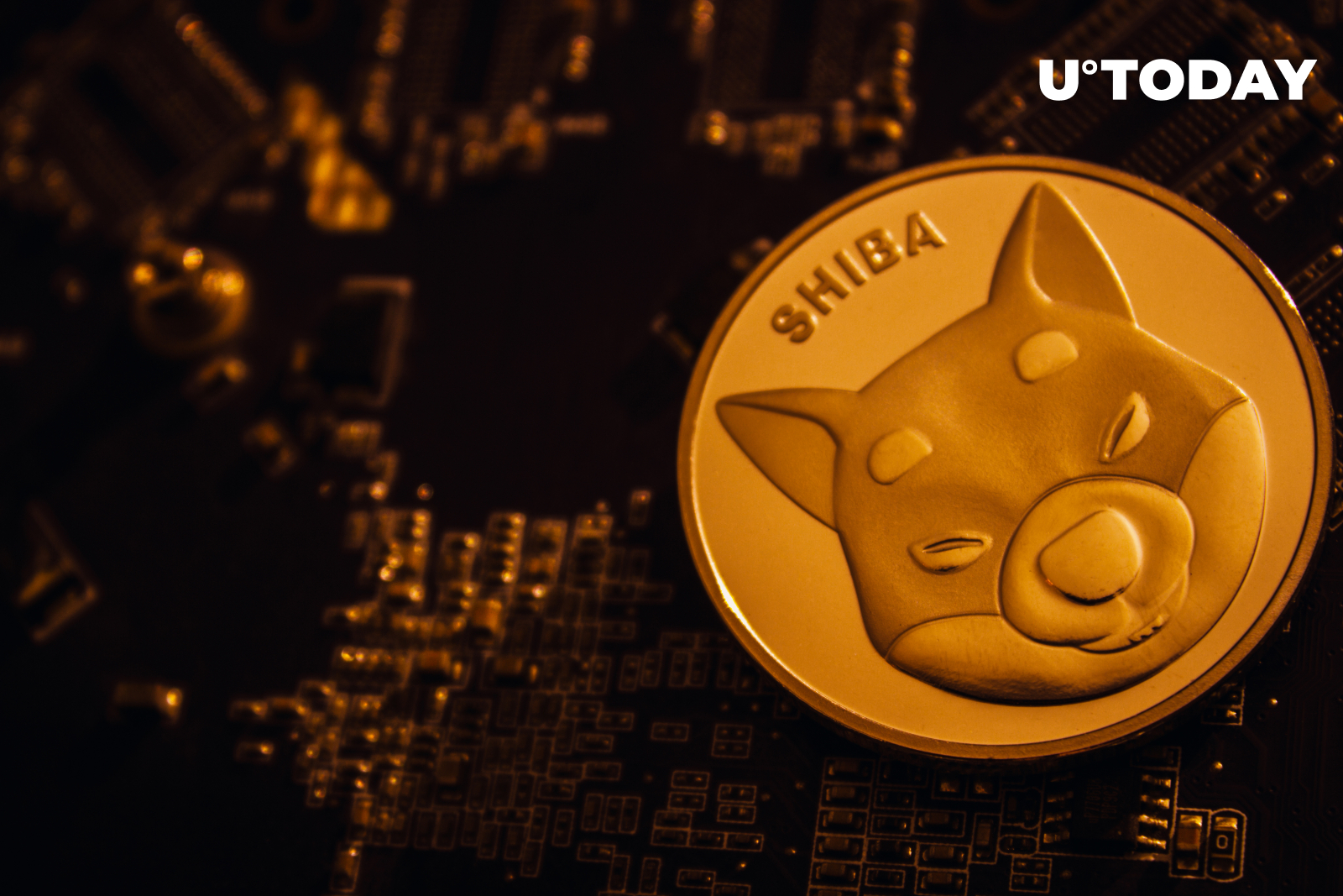 Shiba Inu (SHIB) Falls by Over 4% as Bitcoin Dips Below $22,000