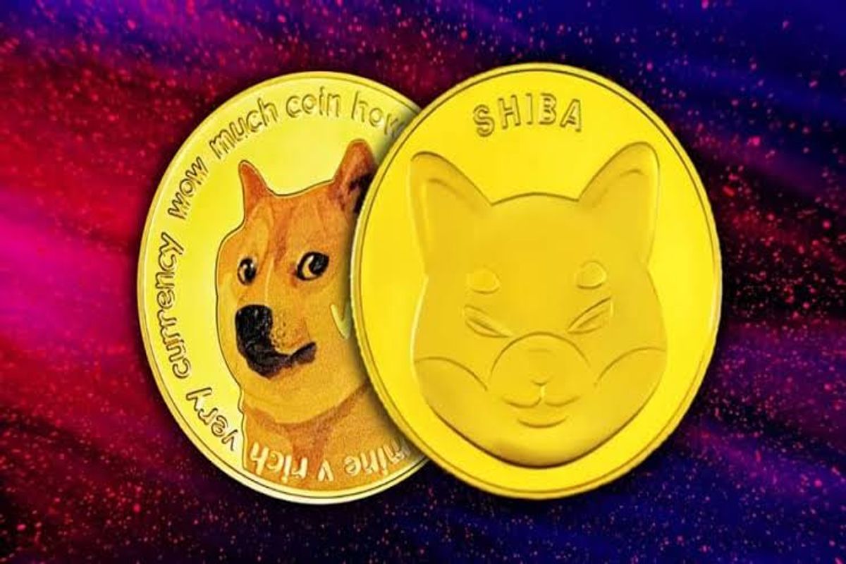 Dogecoin, Shiba Inu are Latest Addition to Binance’s Liquidity Pools