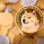 Shiba Inu and Dogecoin Take a Hit As Bitcoin Slips to $22.5K