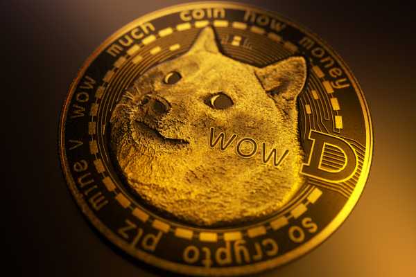 DOGE Update: Shiba Inu Gains 40% On Dogecoin