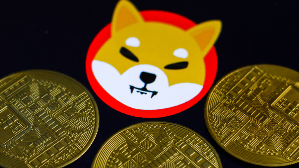 Shiba Inu coin price prediction 2022: Can the meme coin reach $1?