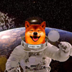 With an annual return of nearly 30%, Shiba Inu exceeds Crypto Bear and defies the weak market in cryptocurrencies