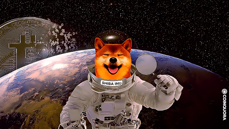 With an annual return of nearly 30%, Shiba Inu exceeds Crypto Bear and defies the weak market in cryptocurrencies