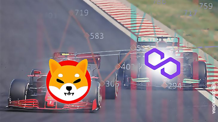 Shiba Inu Continues To Grow, Overtakes Polygon in Market Cap