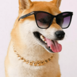 Businesses Can Now Pay Employees' Salaries in Shiba Inu (SHIB) – Clout News