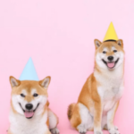 Top Two ETH Whales Buy 1.06 Trillion Shiba Inu Coins In 24 Hours – Clout News