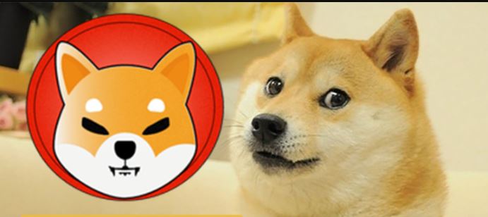 Shiba Inu Or Dogecoin: Where To Invest?