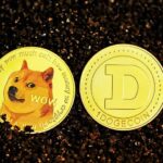 How to buy Dogecoin in Australia – Forbes Advisor Australia