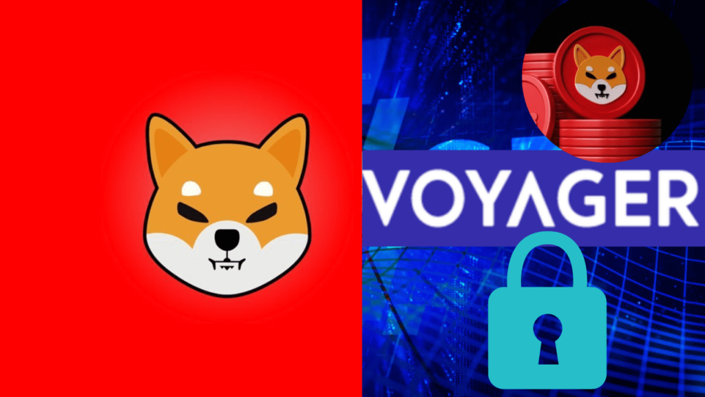 Shiba Inu Investor Loses 220 Million SHIB After Voyager Digital Halts Withdrawals and Trading