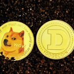 According to analysts, Shiba Inu and Dogecoin are the new winning horses, surpassing Bitcoin