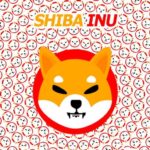 Shiba Inu Born Recently Ranks Ahead of Ethereum, Ripple, Solana, Polygon in Number of Twitter Followers 