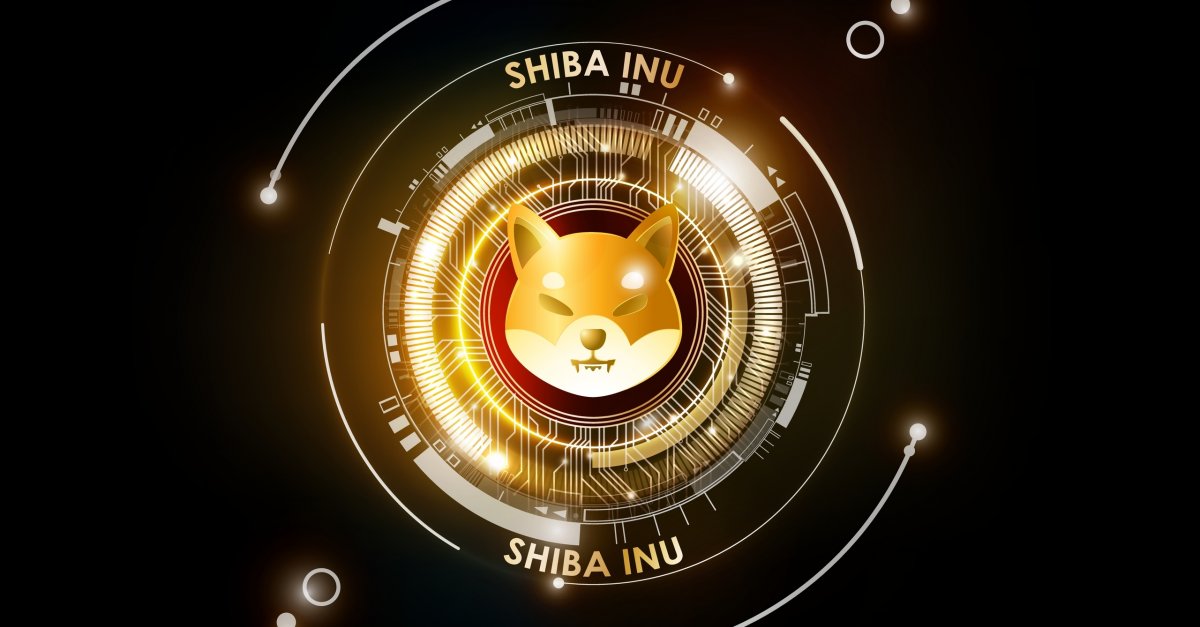 Who Owns The Most Shiba Inu Coin?