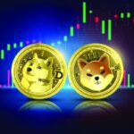 Dogecoin, Shiba Inu Network Activity Hits 7-Week High