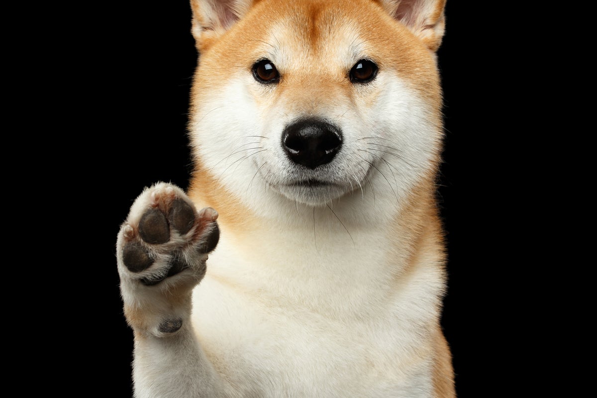 Shiba Inu (SHIB) Sees Nearly $17M Shorts Liquidated Over 24 Hours