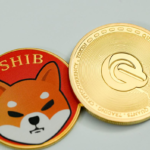 Shiba Inu Coin: Can Meme Power Lift This Crypto Coin?