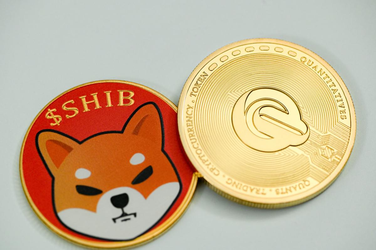 Shiba Inu Coin: Can Meme Power Lift This Crypto Coin?