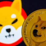 Shiba Inu vs. Dogecoin: the battle of the meme currencies was won by…