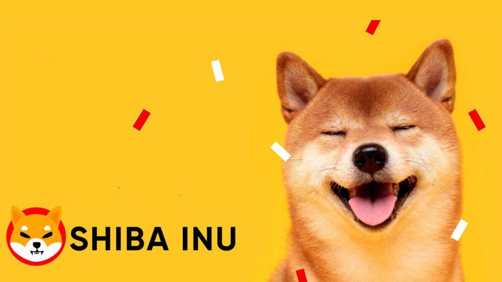 Will Shiba Inu coin reach $1? SHIB army says YES, logic says NO… – CoinChapter…