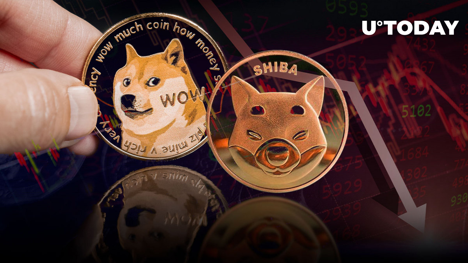 This Group of Shiba Inu and Doge Investors Caused 23% Plunge