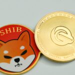 Comparing FreeWoly To Industry-Leading Meme Coin Shiba Inu