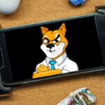 The name of the Highly Anticipated Game is Announced by the Shiba Inu Team