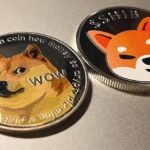 Top Memecoin- Dogecoin VS Shiba Inu