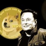 Do DogeCoin and Shiba Inu Have More Potential Than Most Cryptocurrencies? Can Youniverze Challenge The Competition?