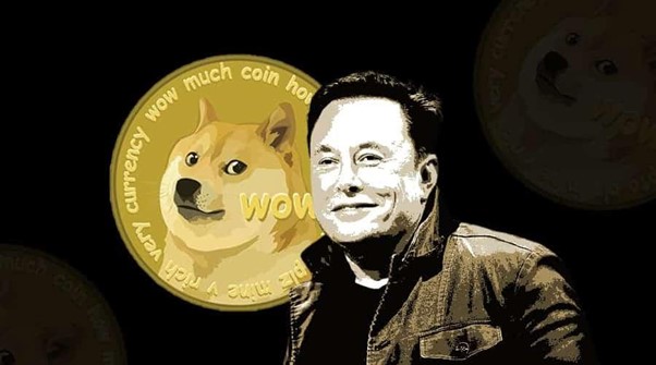 Do DogeCoin and Shiba Inu Have More Potential Than Most Cryptocurrencies? Can Youniverze Challenge The Competition?