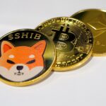 2 Purr-Fect Meme Tokens to buy this August- Big Eyes Coin and Shiba Inu