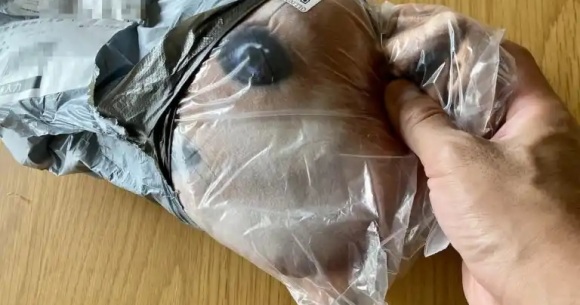 Is Amazon Japan’s lowest-rated Shiba Inu tissue cover a good boy?