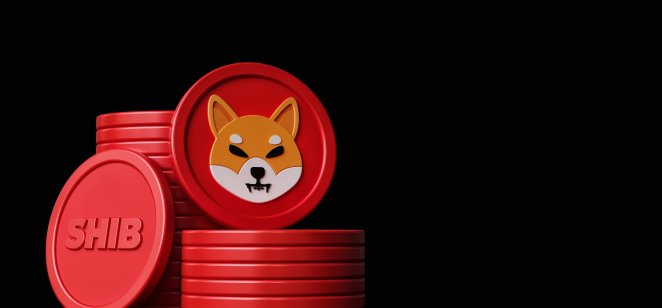 Shiba Inu Slips To 13th Position Following Market Crash